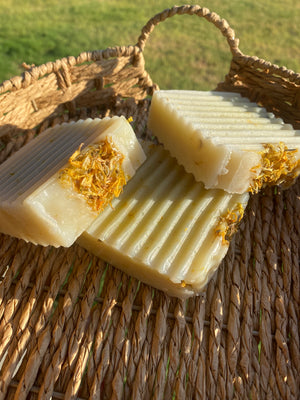 Sea Moss & Shea Butter Nourishing Hand Crafted Soap